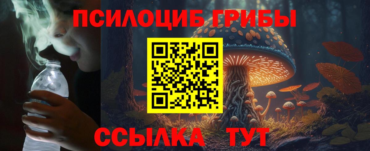 Галлюциногенные грибы GOLDEN TEACHER Северск