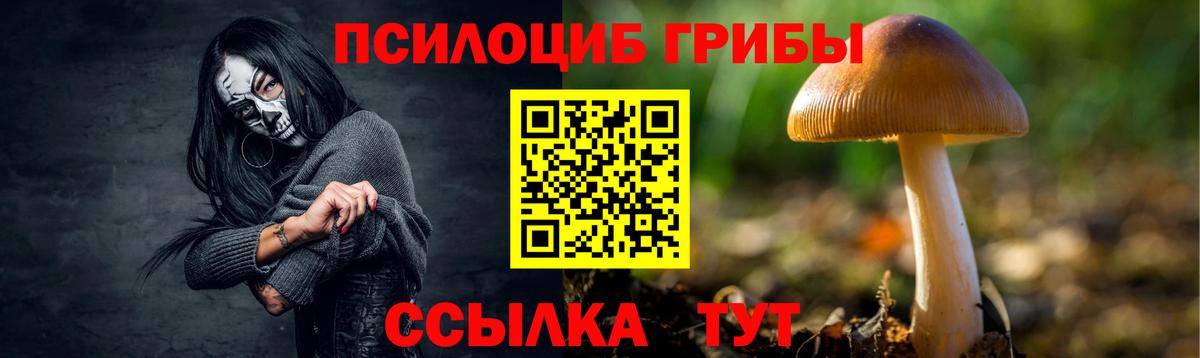 Галлюциногенные грибы Cubensis  Вход с VPN  Северск 